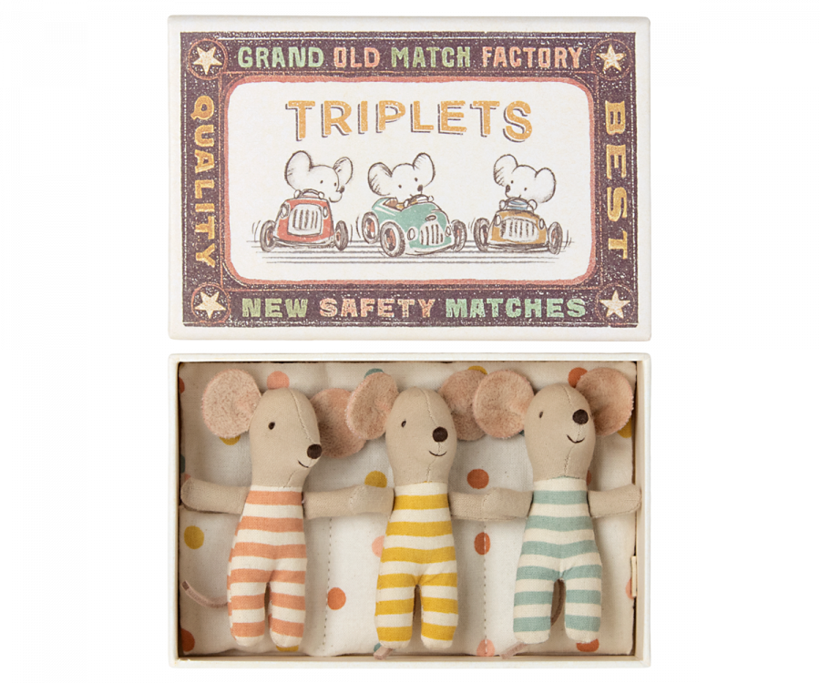 Triplets, Baby Mice In Matchbox-Little Sprout