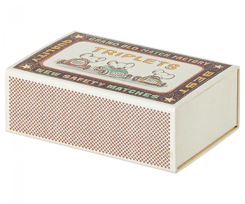 Triplets, Baby Mice In Matchbox-Little Sprout