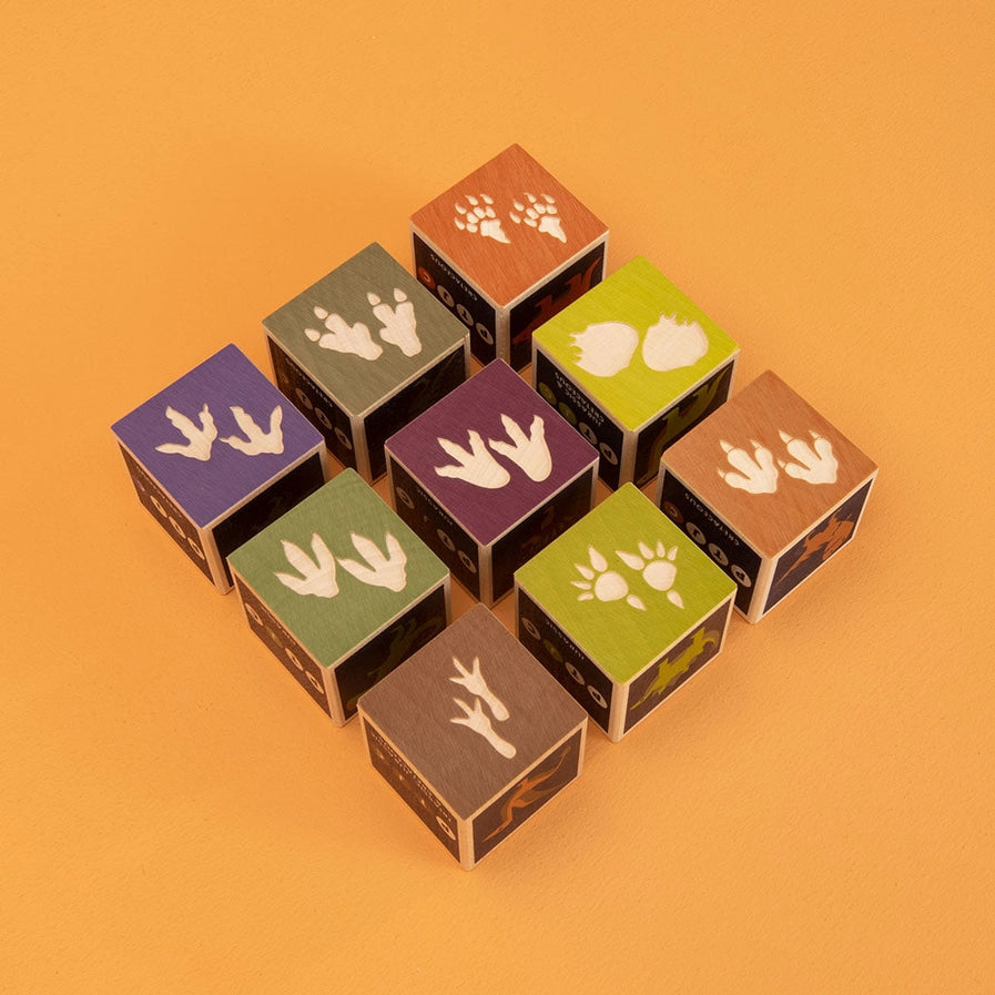 Dinosaur Blocks-Little Sprout