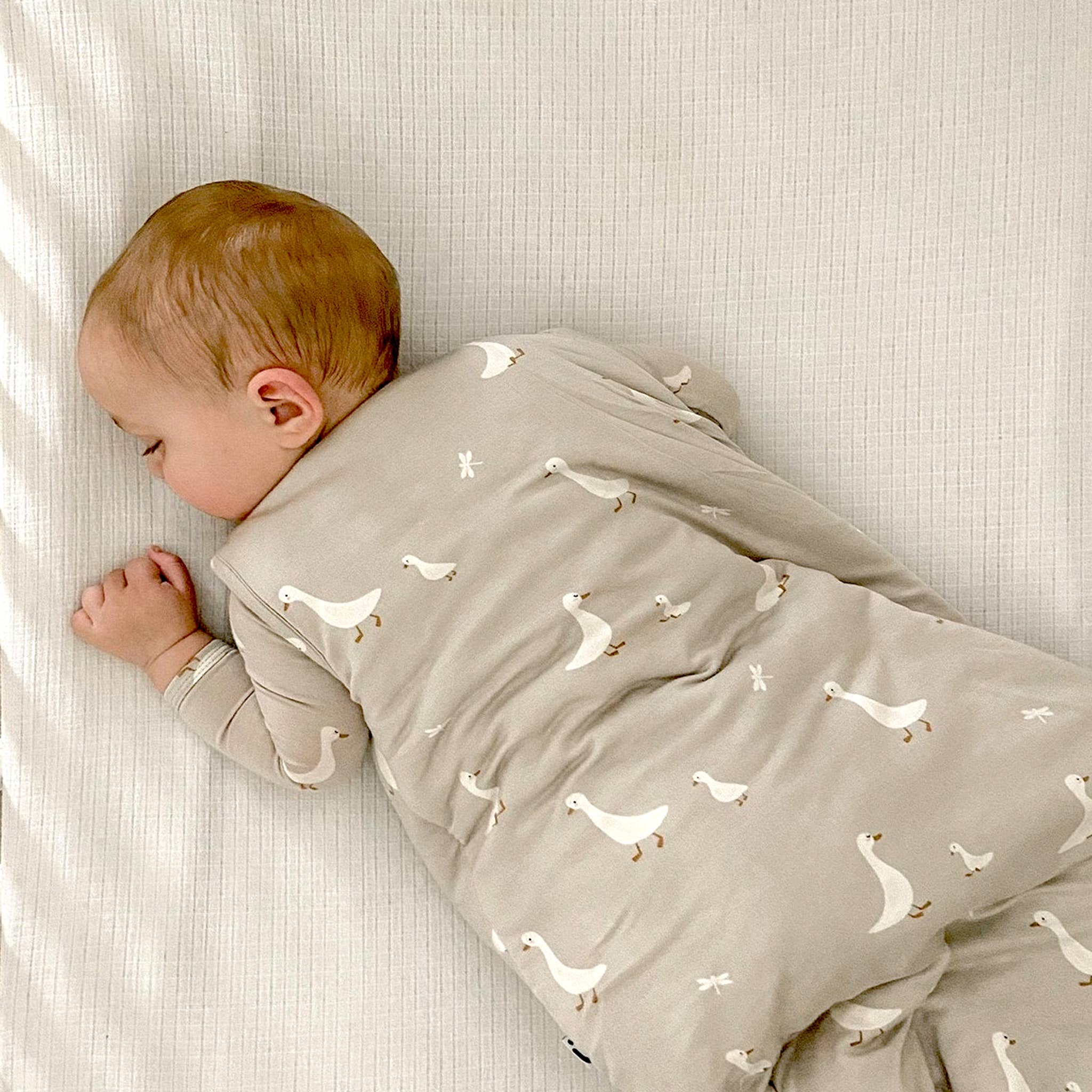 SLEEP BAG: Magnolia / 3-9 months / 1.0-Little Sprout