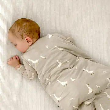 Sleep Bag - 1.0 TOG-Little Sprout