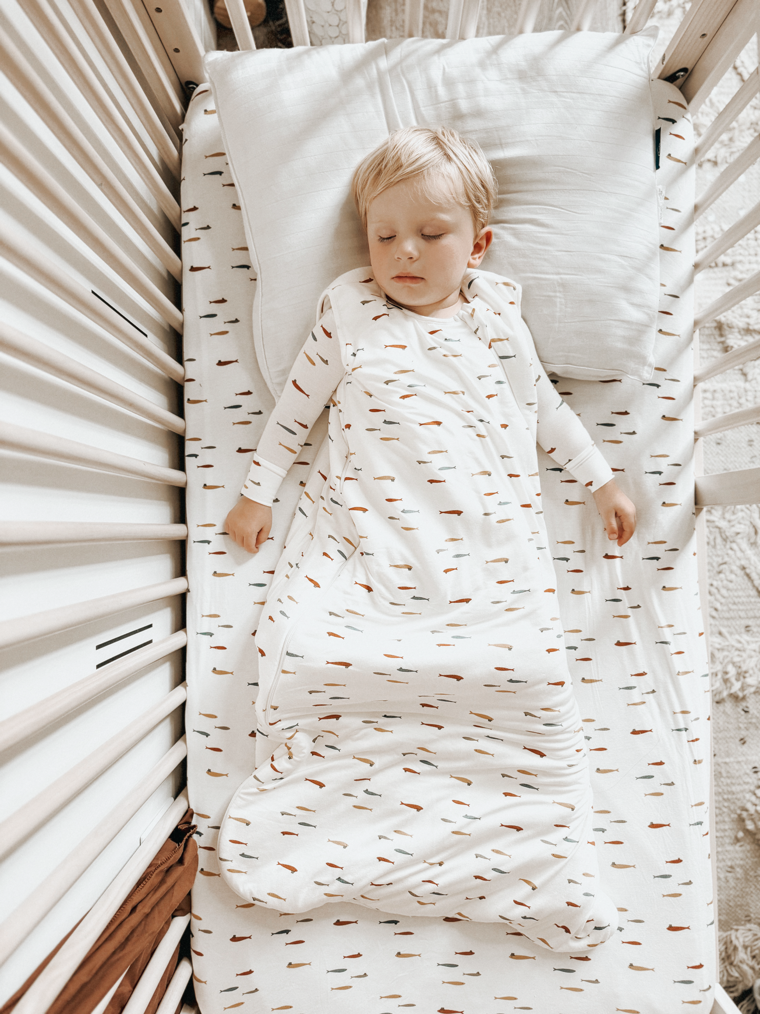 SLEEP BAG 2.5 TOG: Dream / 9-18 months / 2.5