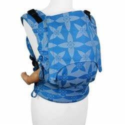 Fusion Toddler Carrier - Blossom/Blue-Little Sprout