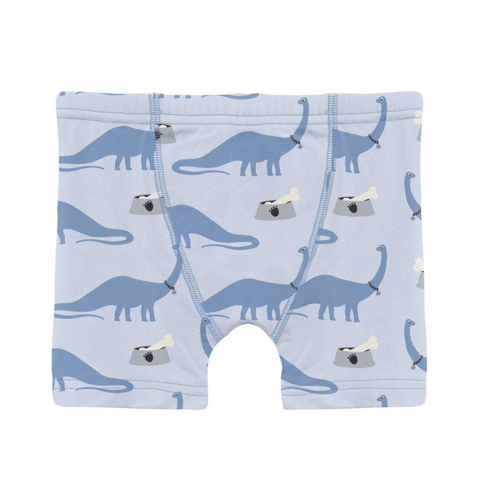 Print Boy Boxer Brief - Dew Pet Dino-Little Sprout