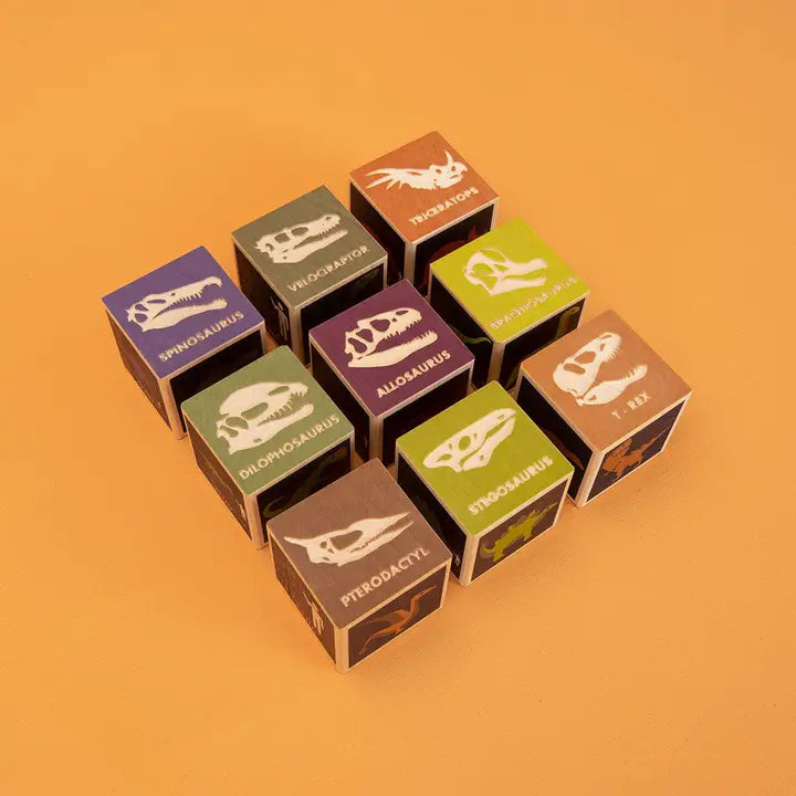 Dinosaur Blocks-Little Sprout