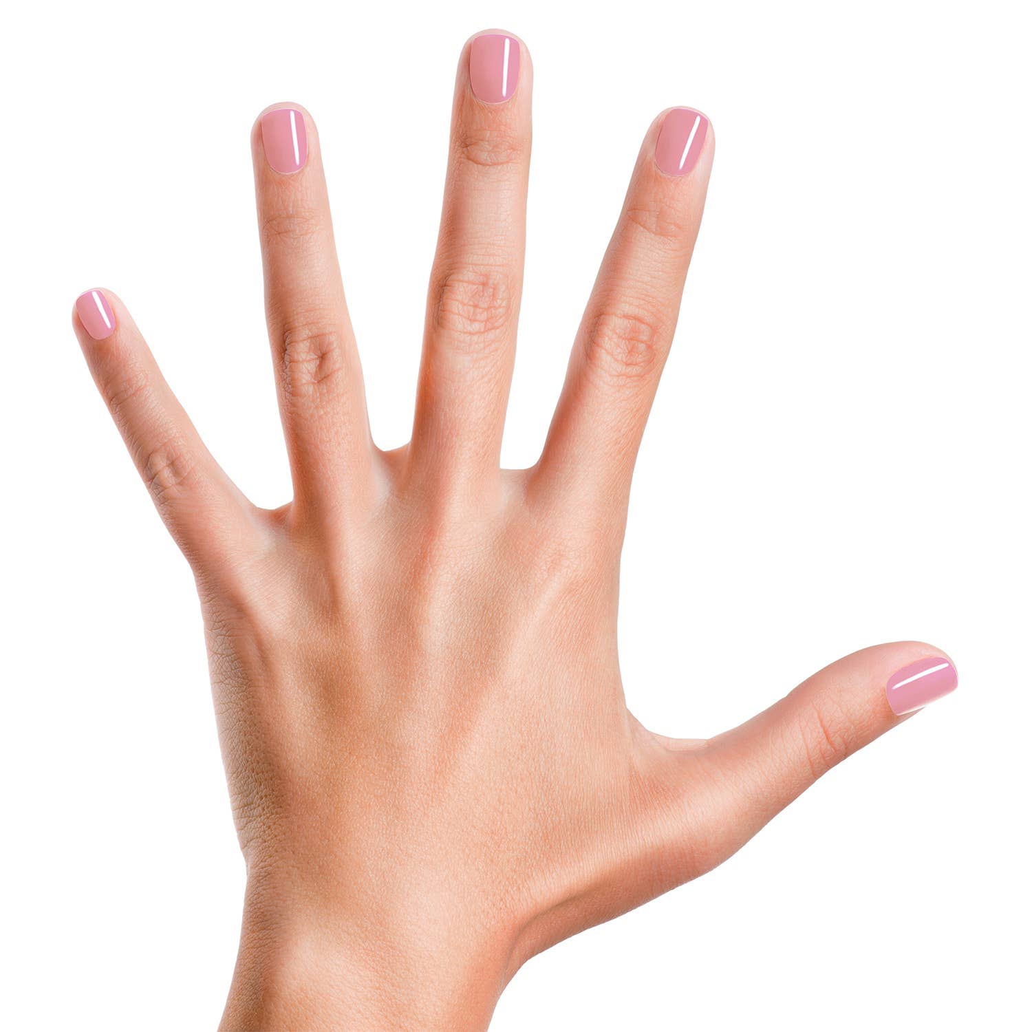 Muddles The Pig Nail Polish-Little Sprout