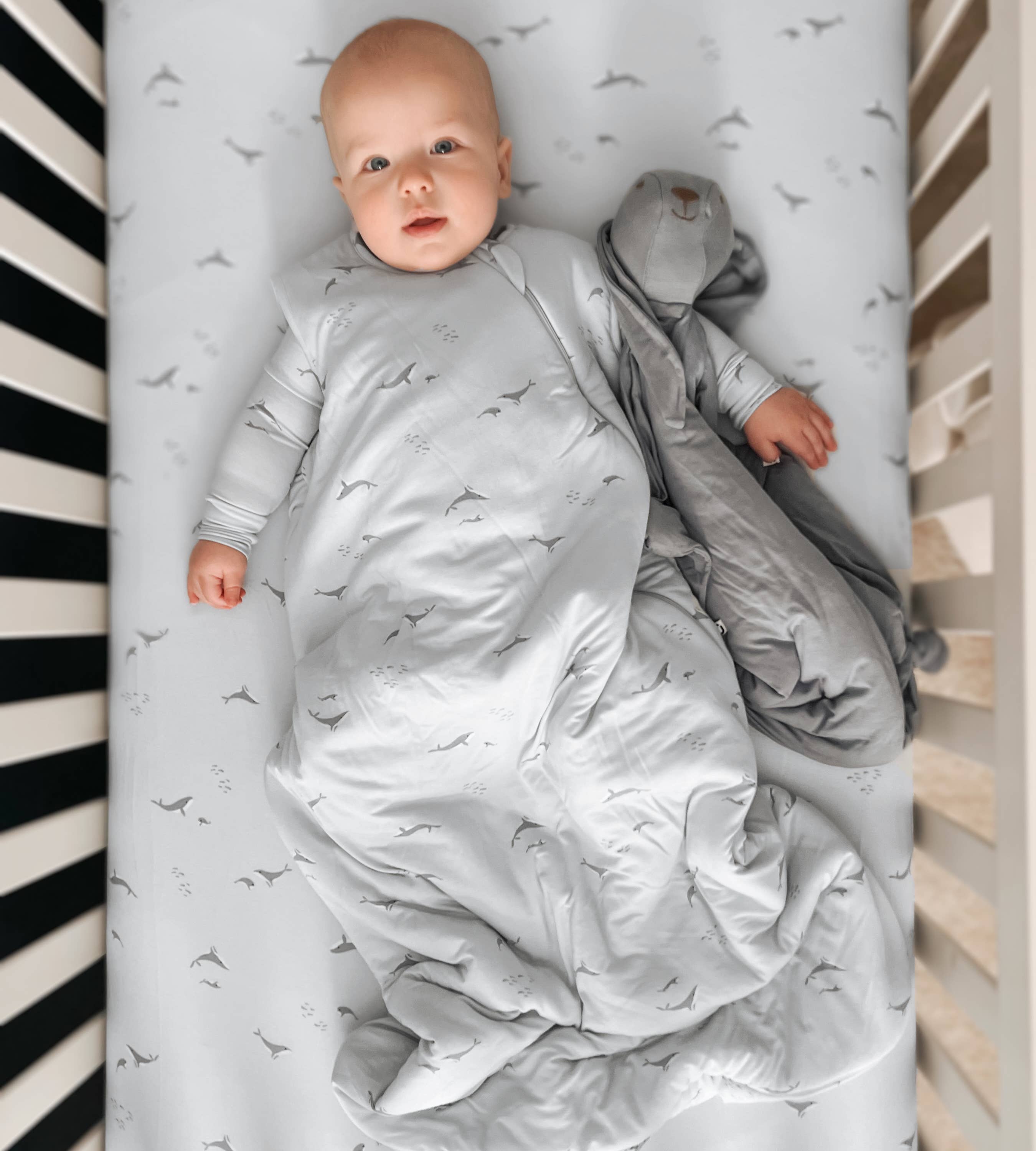 SLEEP BAG: Magnolia / 3-9 months / 1.0-Little Sprout