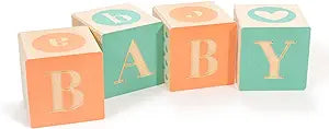 Baby Blocks-Little Sprout