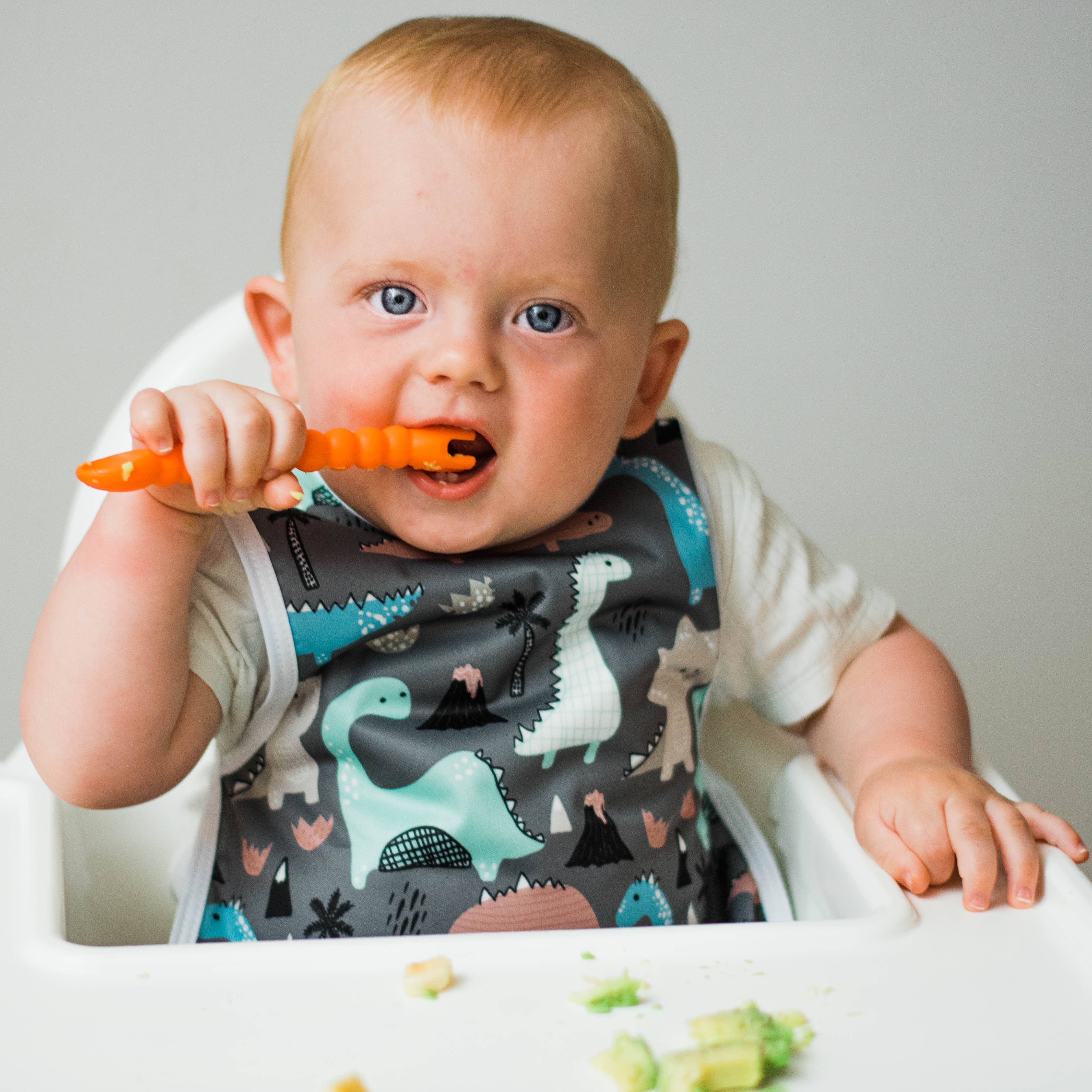 Dinosaur Drawing Bapron: Toddler (6m-3T)-Little Sprout