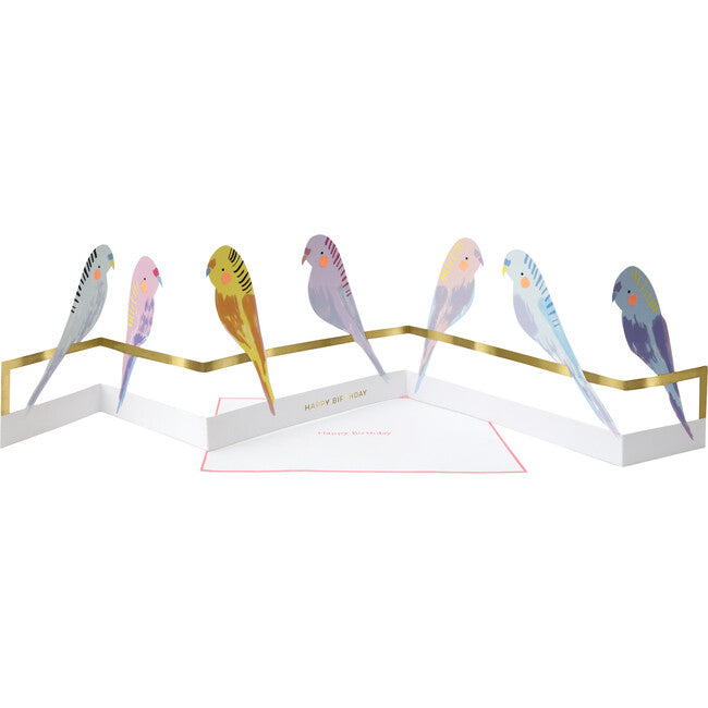 Budgie Concertina Birthday Card-Little Sprout