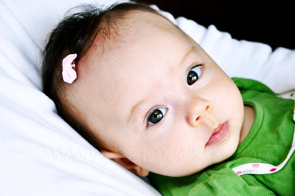 Mini Wisp Clip Tiny Tuxedo Baby Bow Hair Clips Mini Bows: Burgundy-Little Sprout