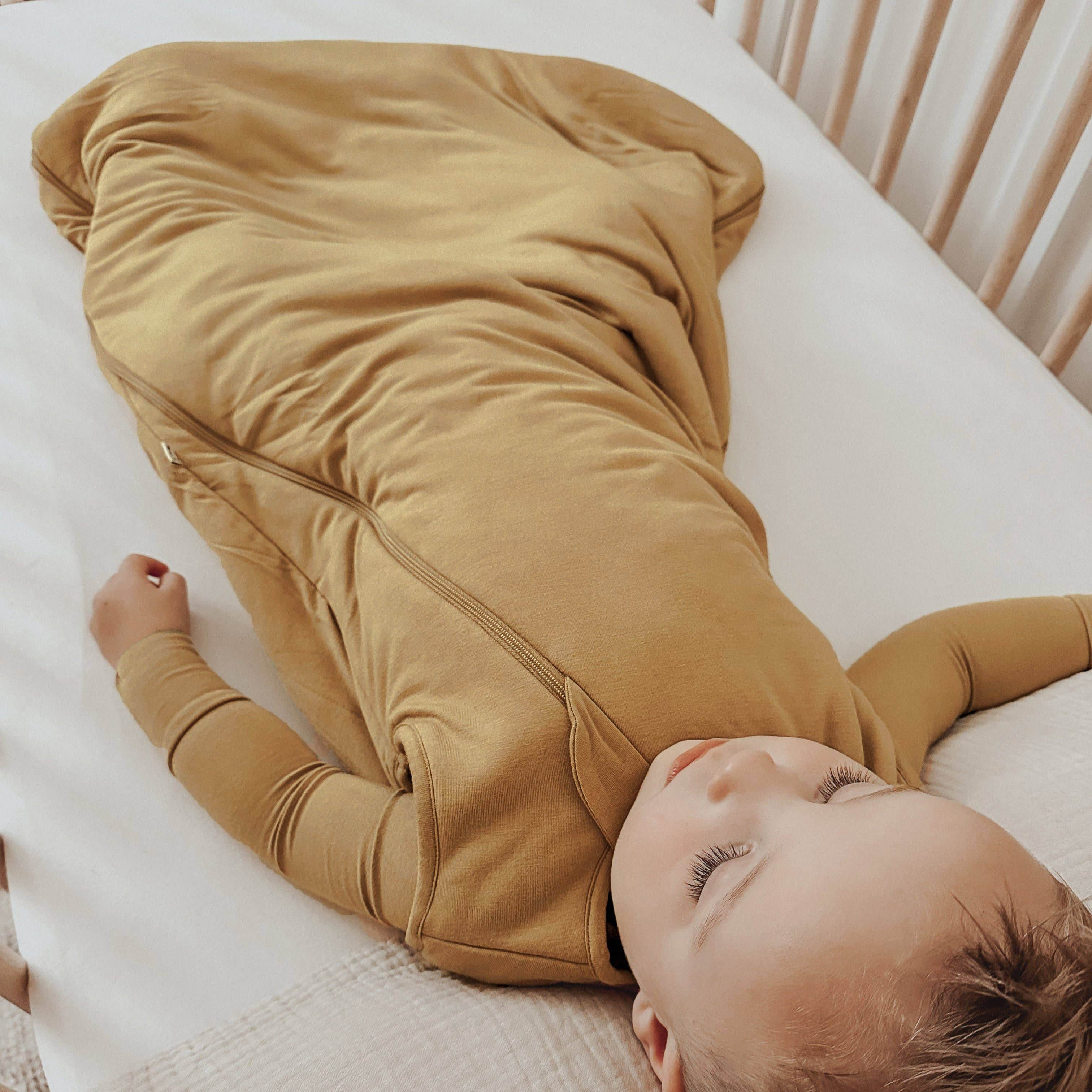 SLEEP BAG 2.5 TOG: Dream / 9-18 months / 2.5
