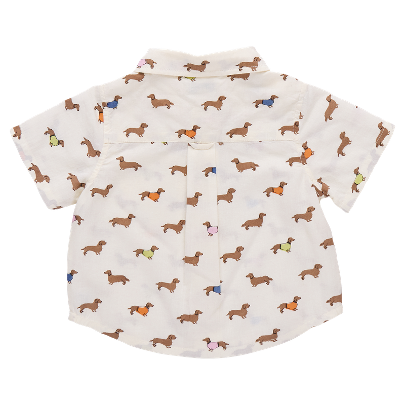 Baby Boys Jack Shirt - Dachshunds in Sweaters