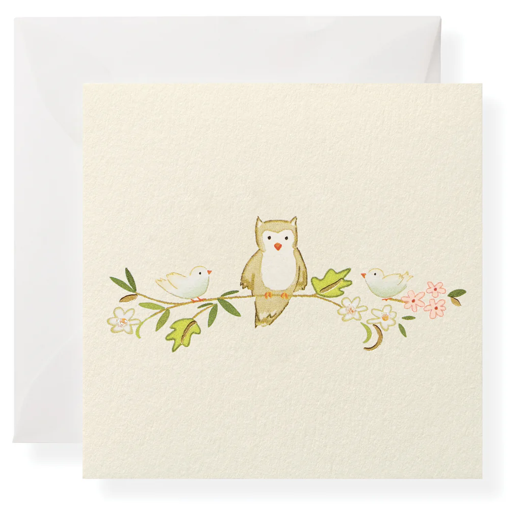 Owl Individual Gift Enclosure-Little Sprout