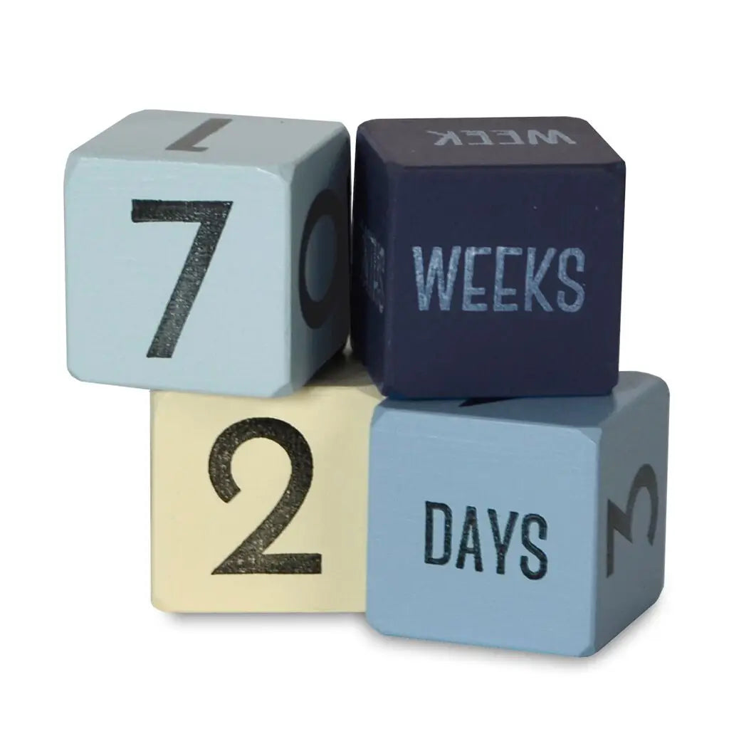 Mini Age Blocks-Little Sprout