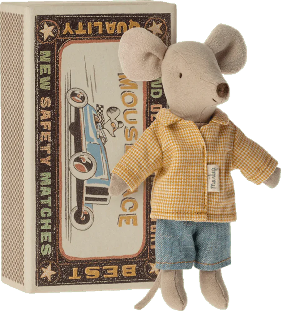 Big Brother Mouse In Box-Little Sprout