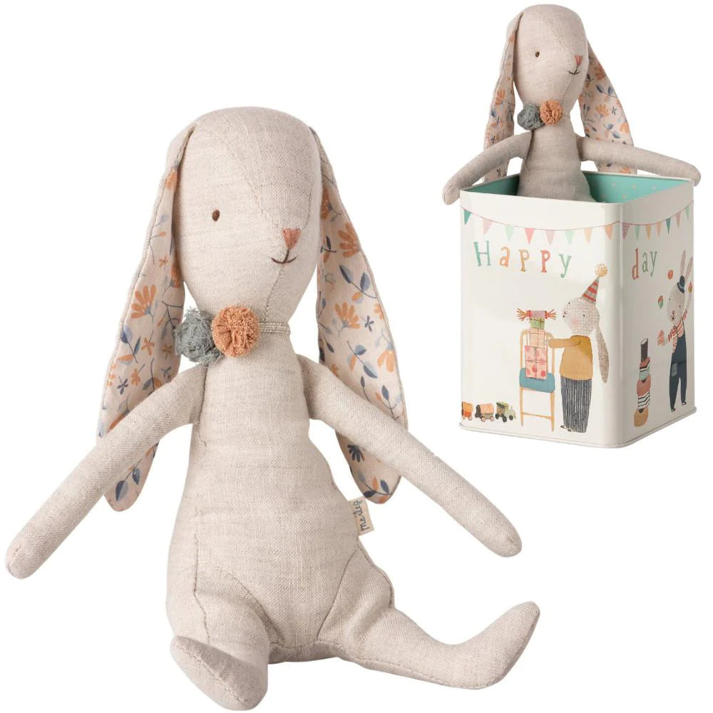 Happy Day Bunny In Box-Little Sprout