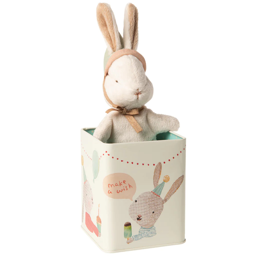 Happy Day Bunny In Box-Little Sprout