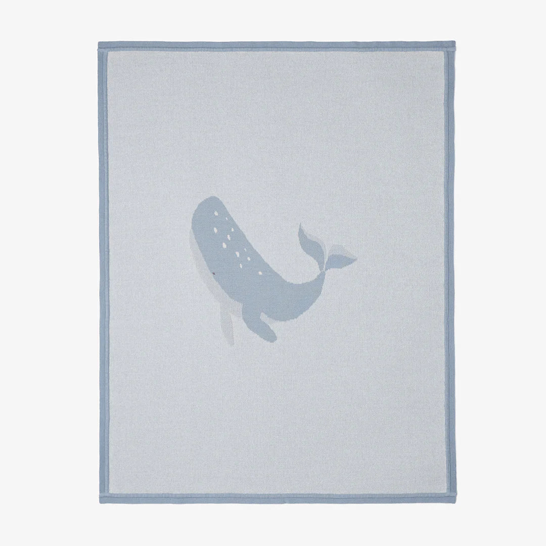 Whale Cotton Knit Baby Blanket-Little Sprout