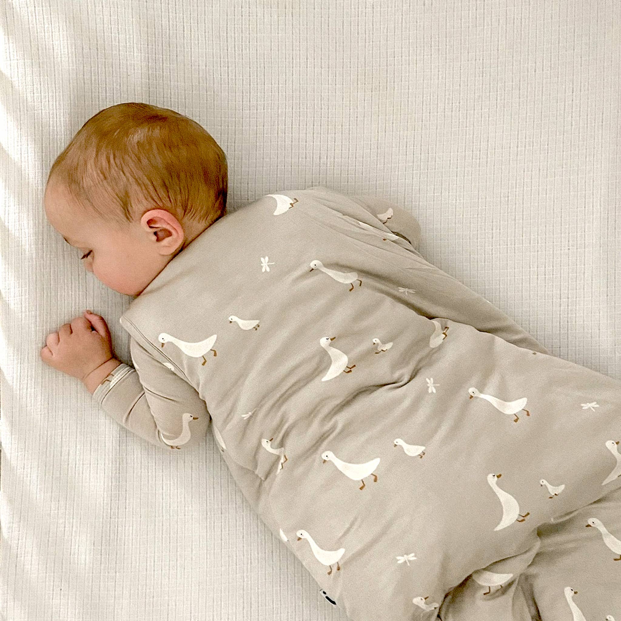 FW24 SLEEP BAG 2.5 TOG: Sage / 3-9 months / 2.5