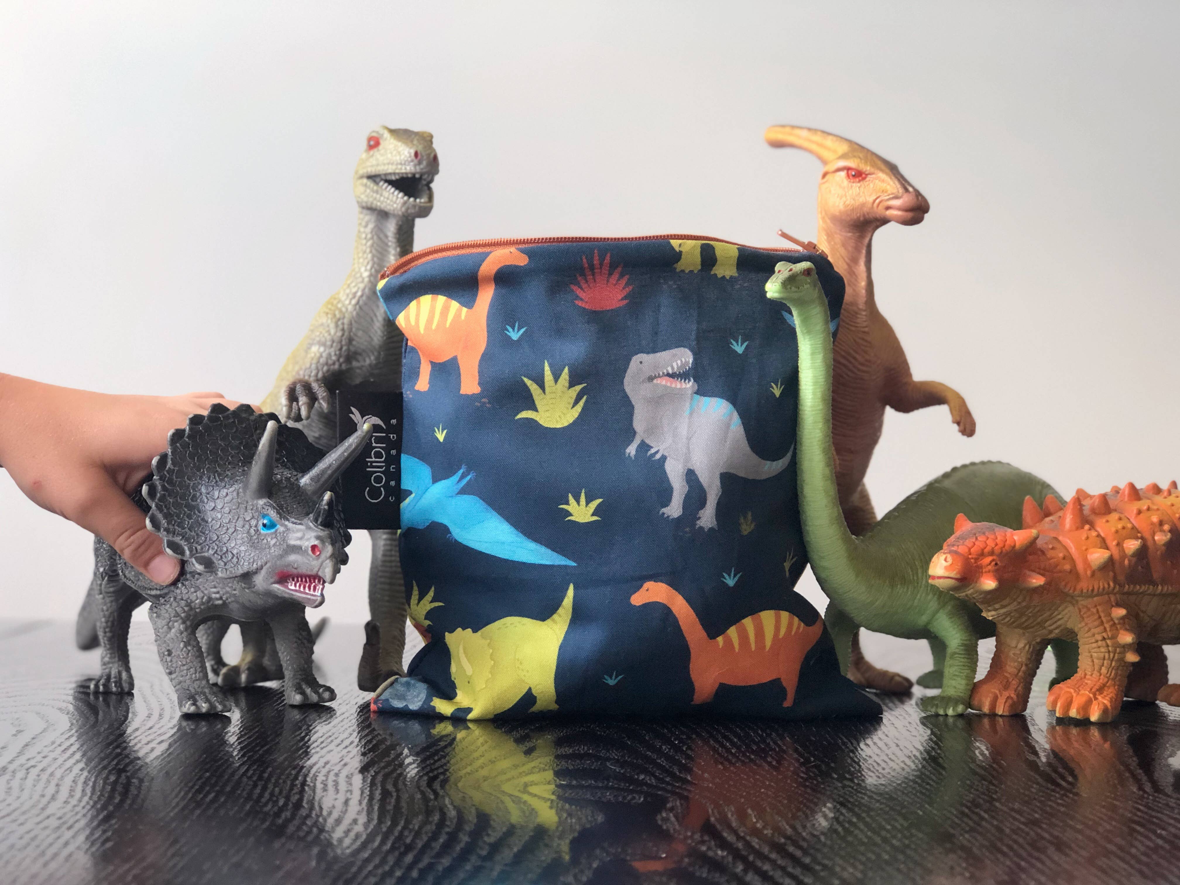 Dinosaurs Reusable Snack Bag - Large-Little Sprout