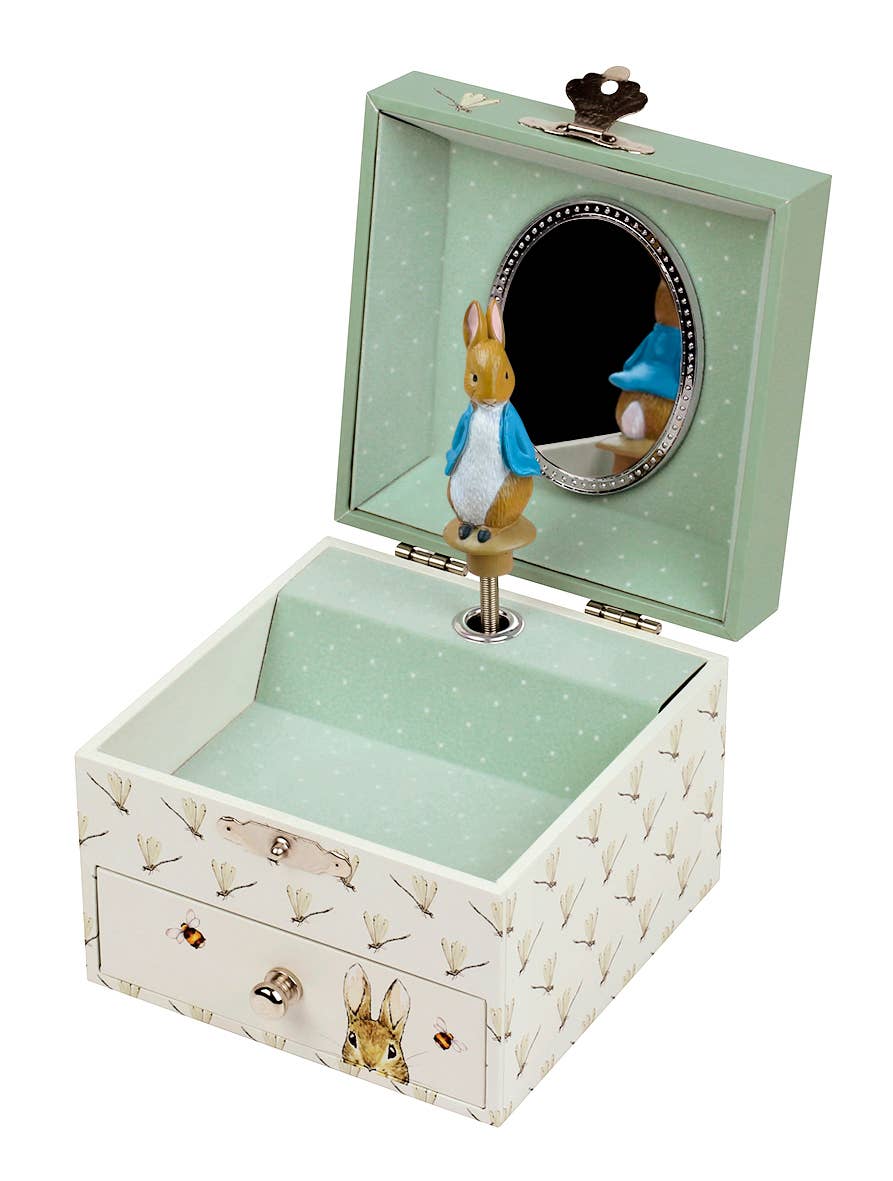 Peter Rabbit© Cube Music Box - Dragonfly-Little Sprout