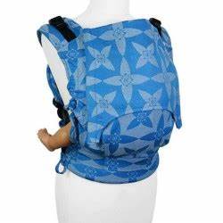 Fusion Toddler Carrier - Blossom/Blue