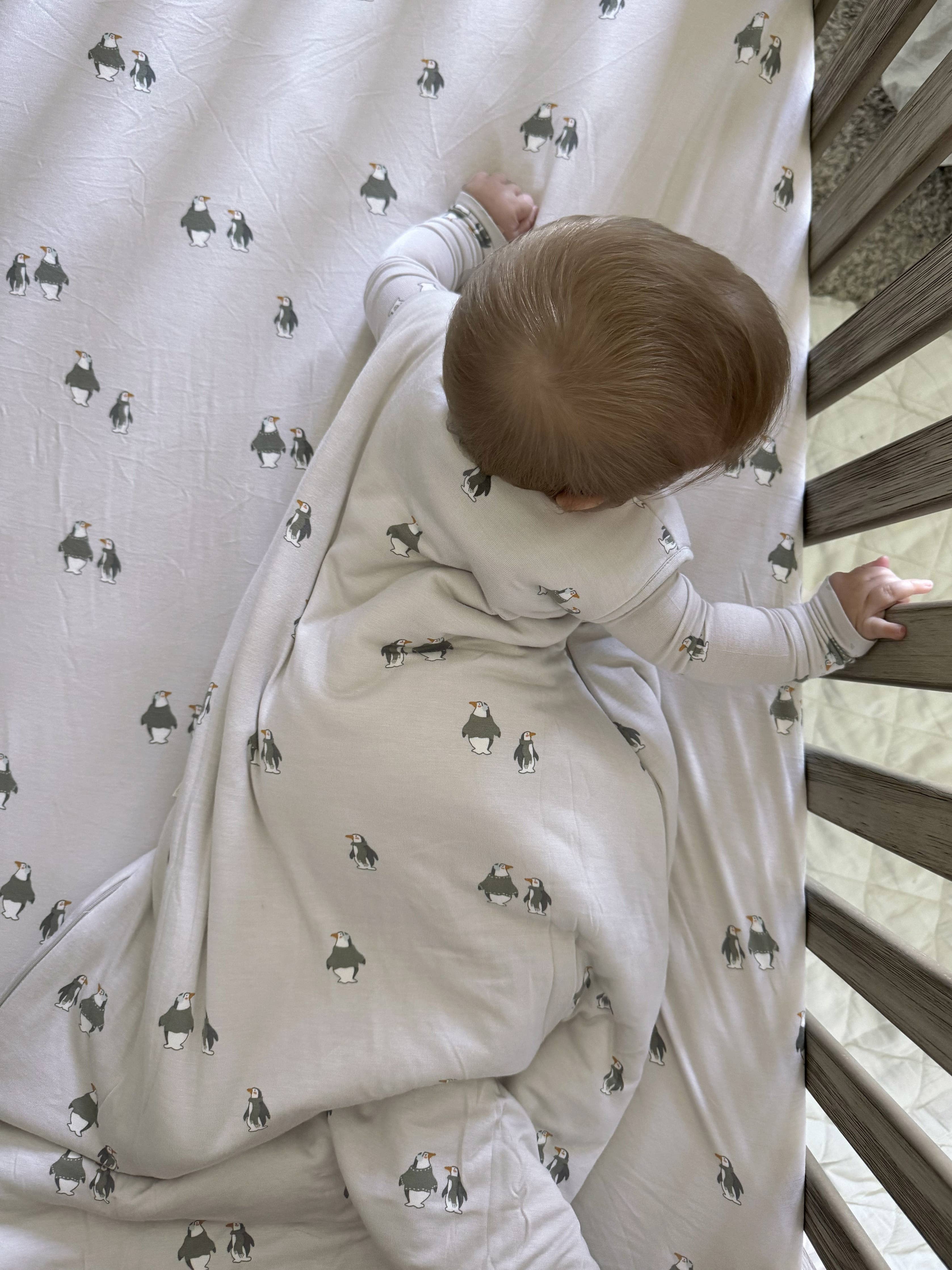 FW24 SLEEP BAG 2.5 TOG: Sage / 3-9 months / 2.5