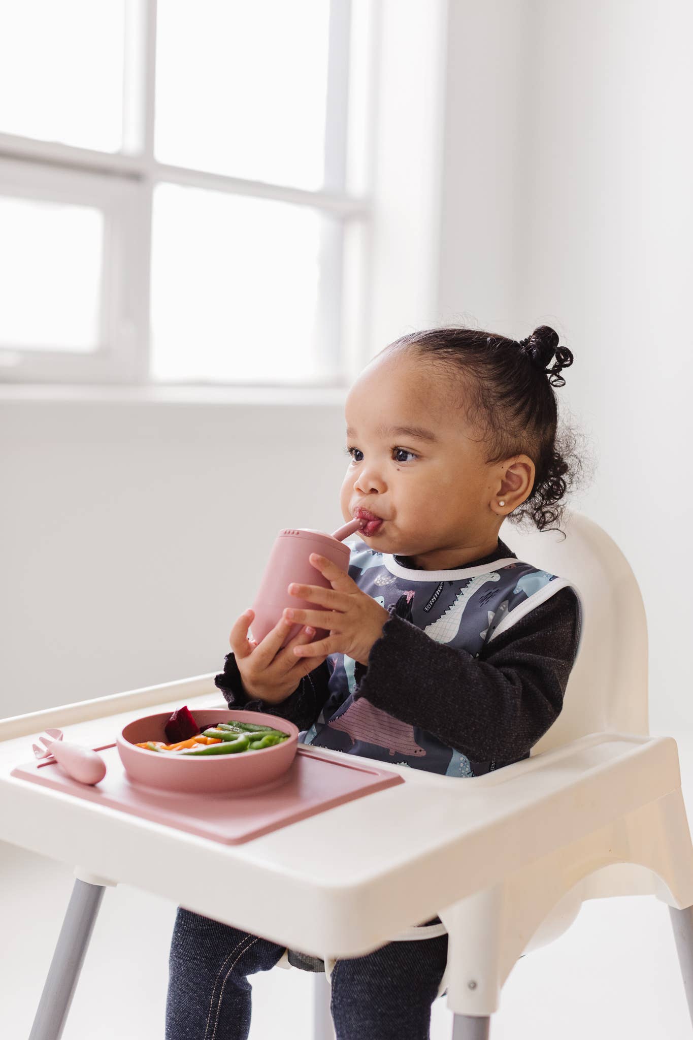 Dinosaur Drawing Bapron: Toddler (6m-3T)-Little Sprout