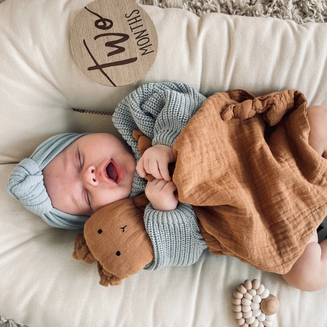 Muslin Animal Lovey - Brown Bunny