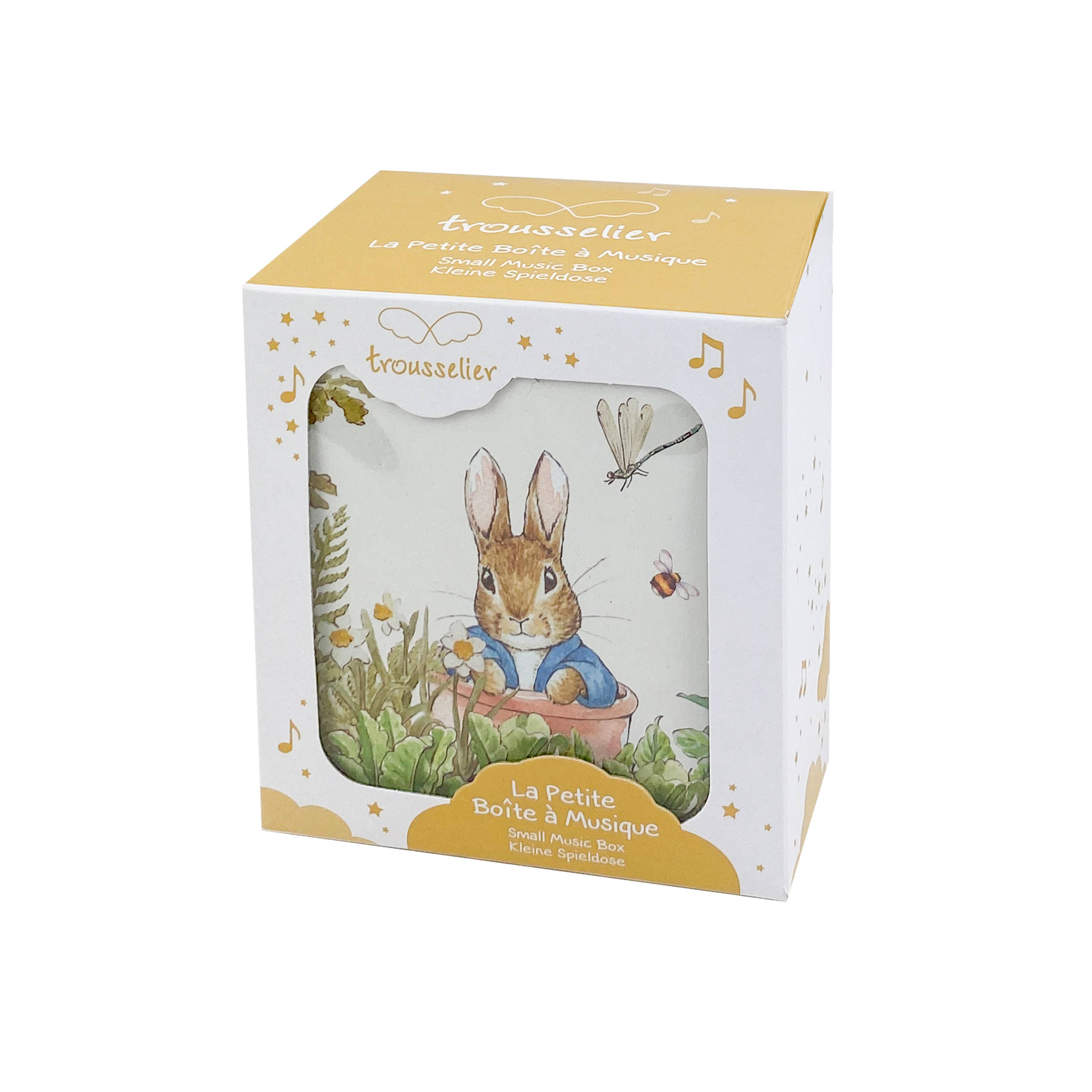 Peter Rabbit© Cube Music Box - Dragonfly-Little Sprout
