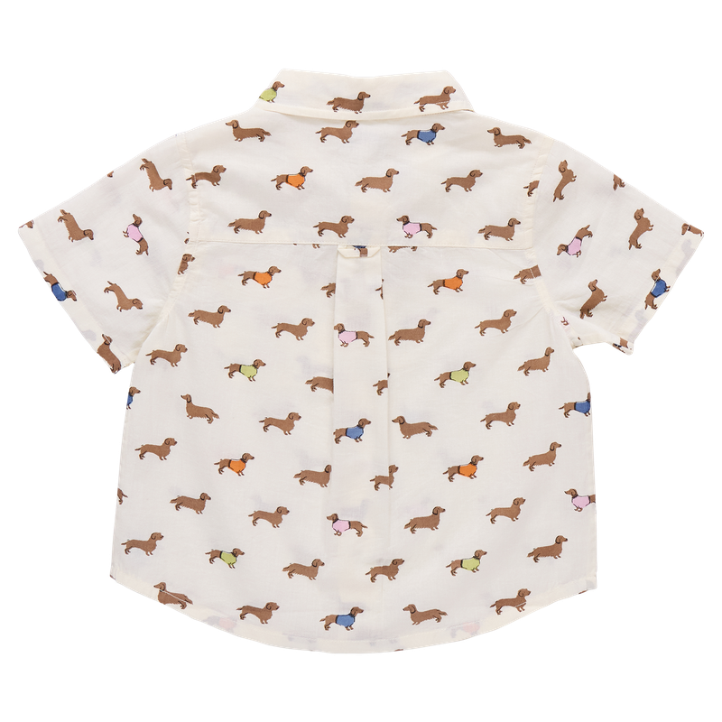 Boys Jack Shirt - Dachshunds in Sweaters