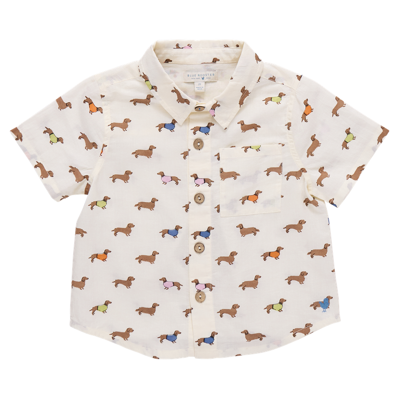 Pink Chicken Blue Rooster Boys Jack Shirt Dachshunds in Sweaters