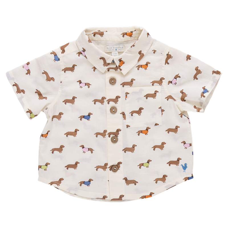 Baby Boys Jack Shirt Dachshunds in Sweaters Little Sprout Blue Rooster