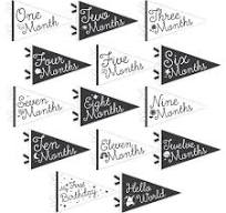 Little Stargazer Petite  Milestone Pennants