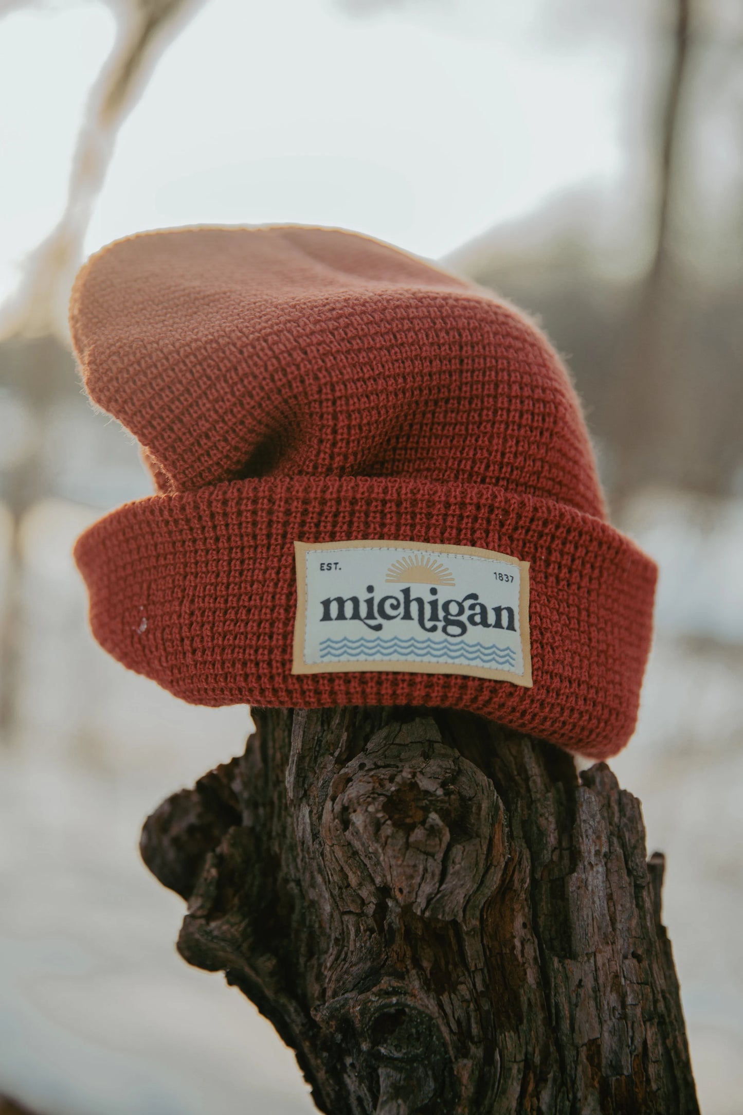 Waffle Knit Michigan Patch Beanie